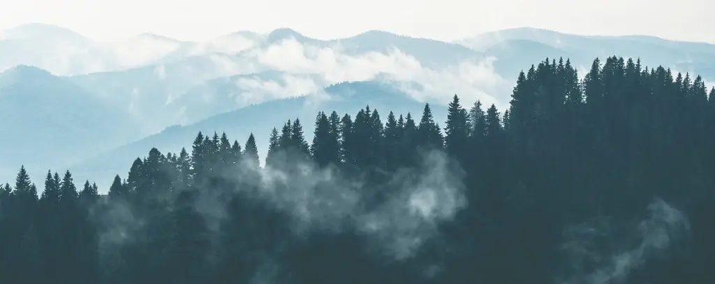 Evaluation de la population de loups en France